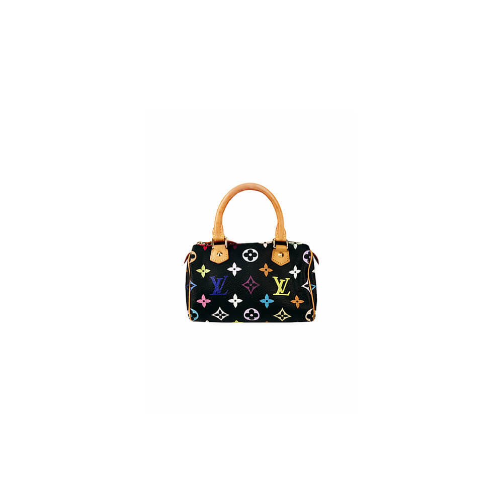 LV Multicolor Nano Speedy Bag