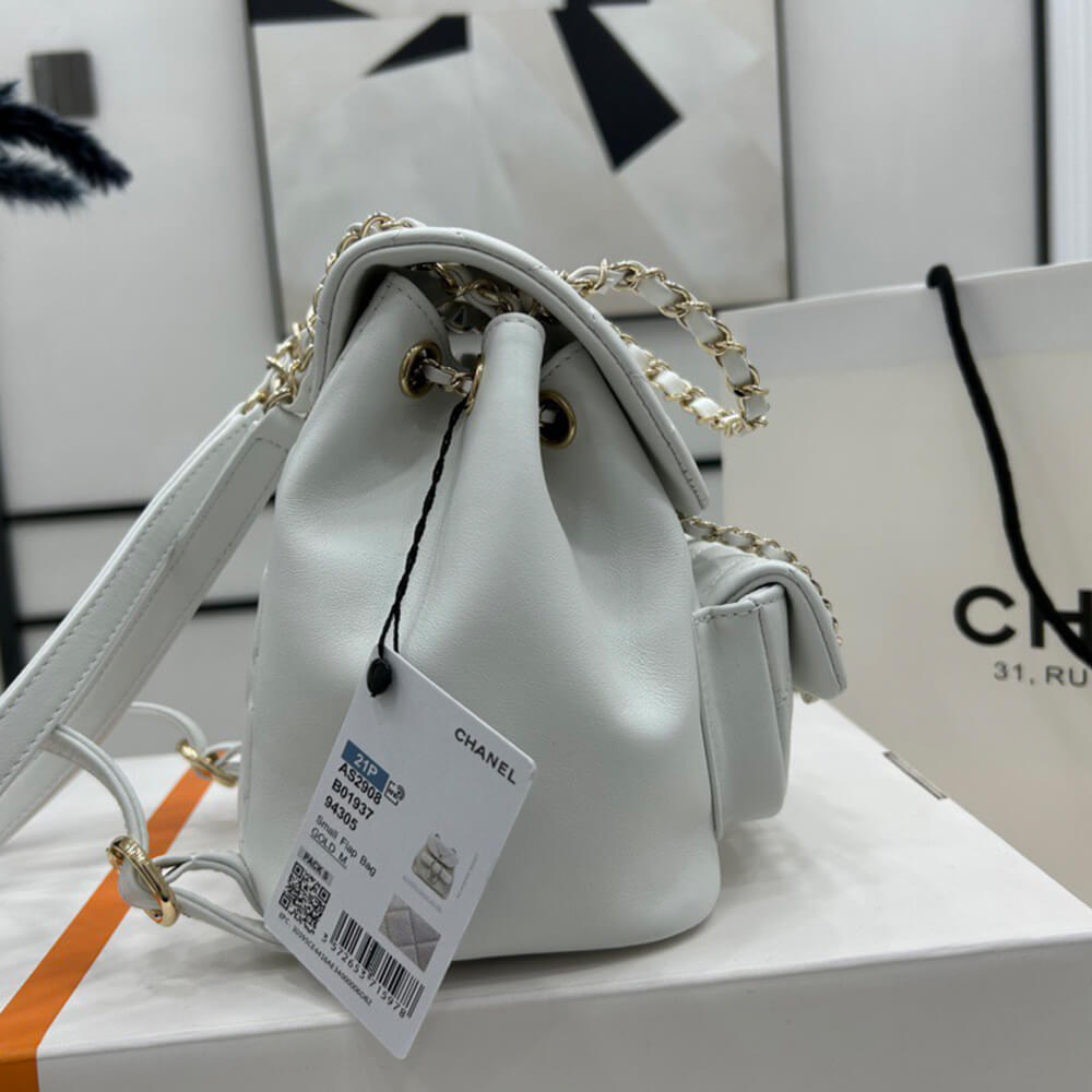 Ch*el 22a mini duma backpack