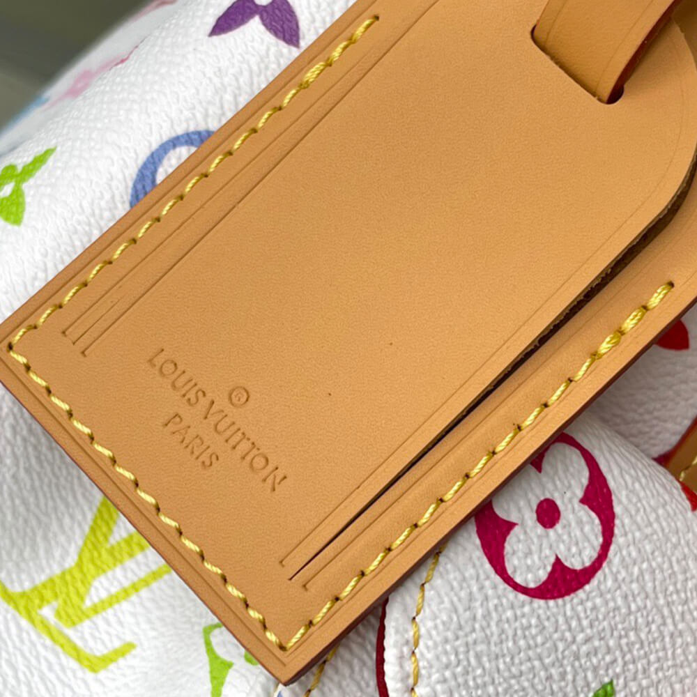 LV Noe Monogram Multicolore