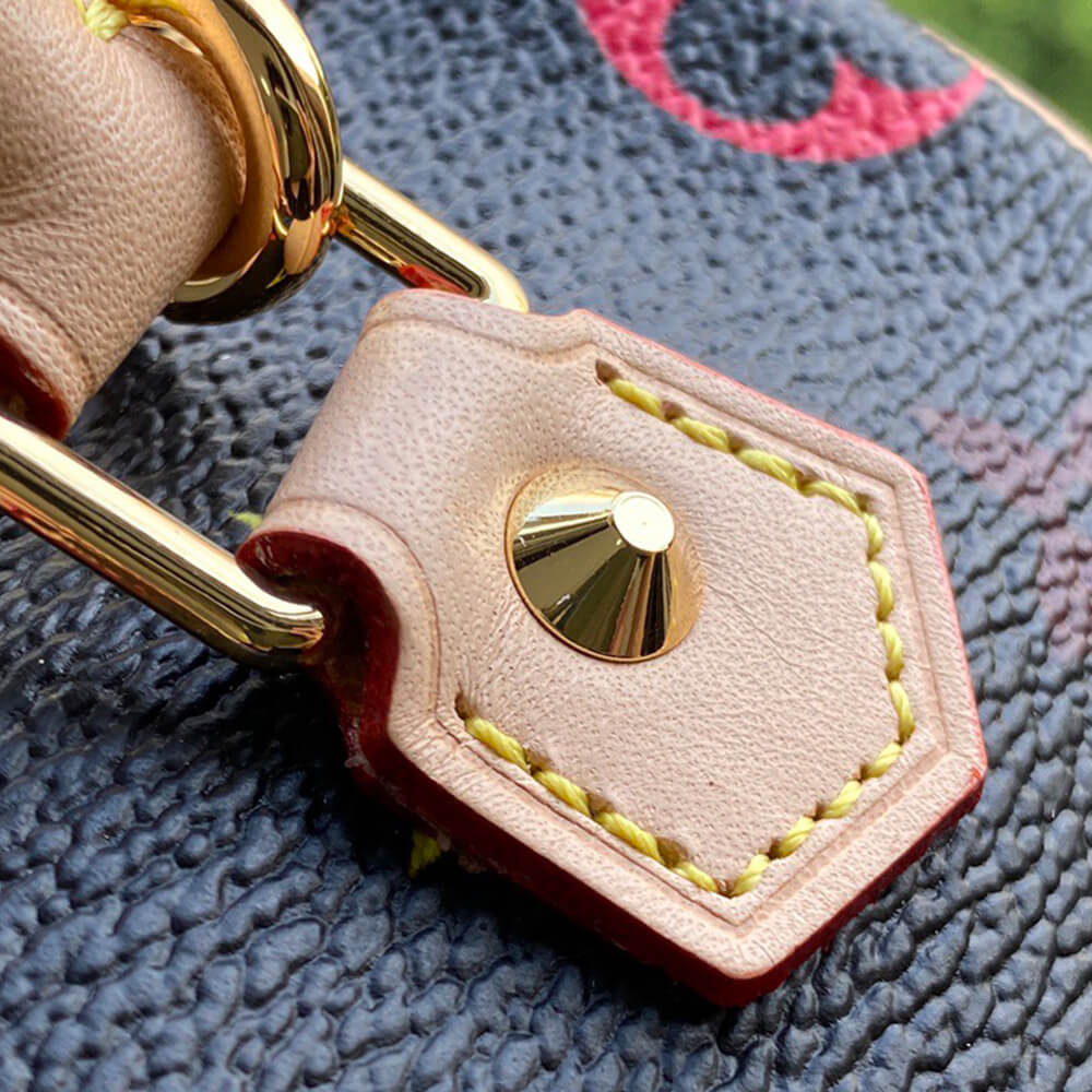 LV Multicolor Nano Speedy Bag